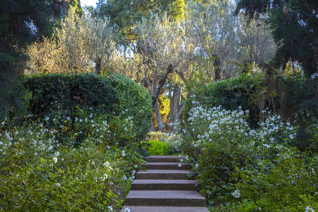 Primavera alla Landriana Marzo 2025